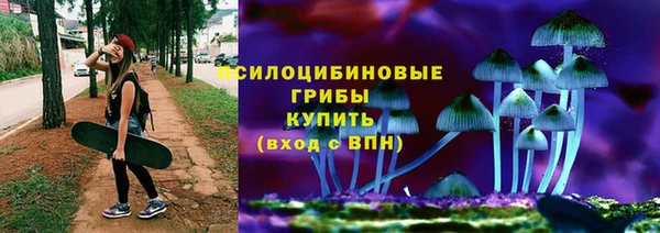 прущий лед Алексеевка