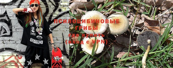 прущие крисы Алексин