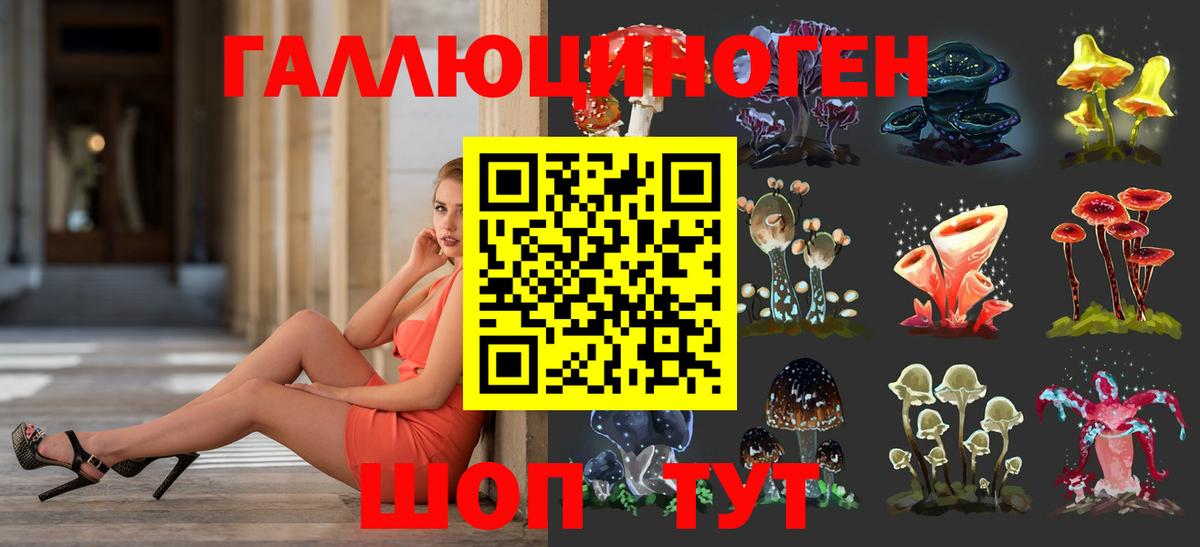 Галлюциногенные грибы GOLDEN TEACHER  Вход с VPN  Апатиты 